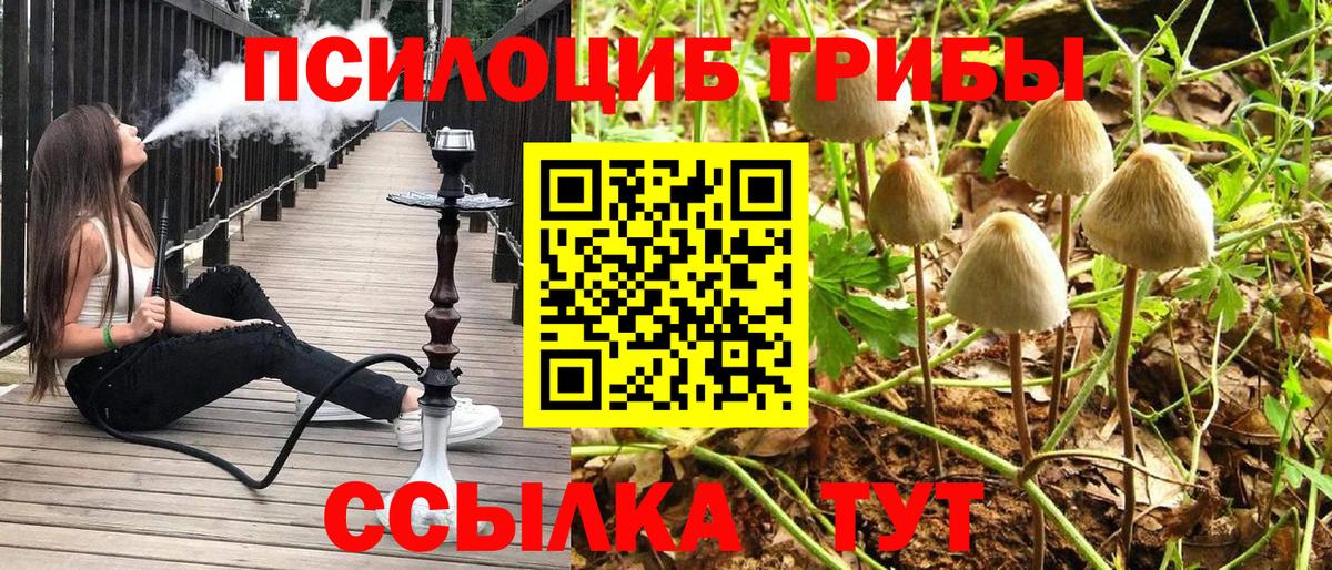 Псилоцибиновые грибы ЛСД Сыктывкар