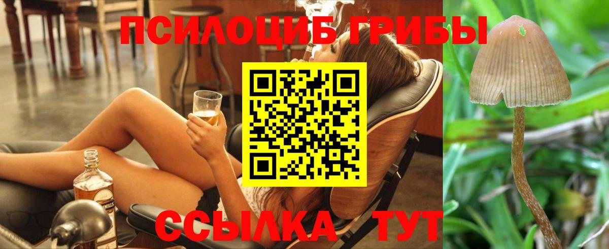 Галлюциногенные грибы GOLDEN TEACHER  Вход с VPN  Сыктывкар  Галлюциногенные грибы ЛСД 